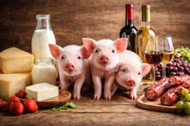 Uvoz bez carine: Prasad, jogurt i vino “planuli”