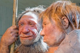 Istraživanje otkriva polnu pristrasnost u parenjima neandertalaca i ...