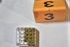 Sarajlije uhapšene zbog paljevine auta, pronađena i droga