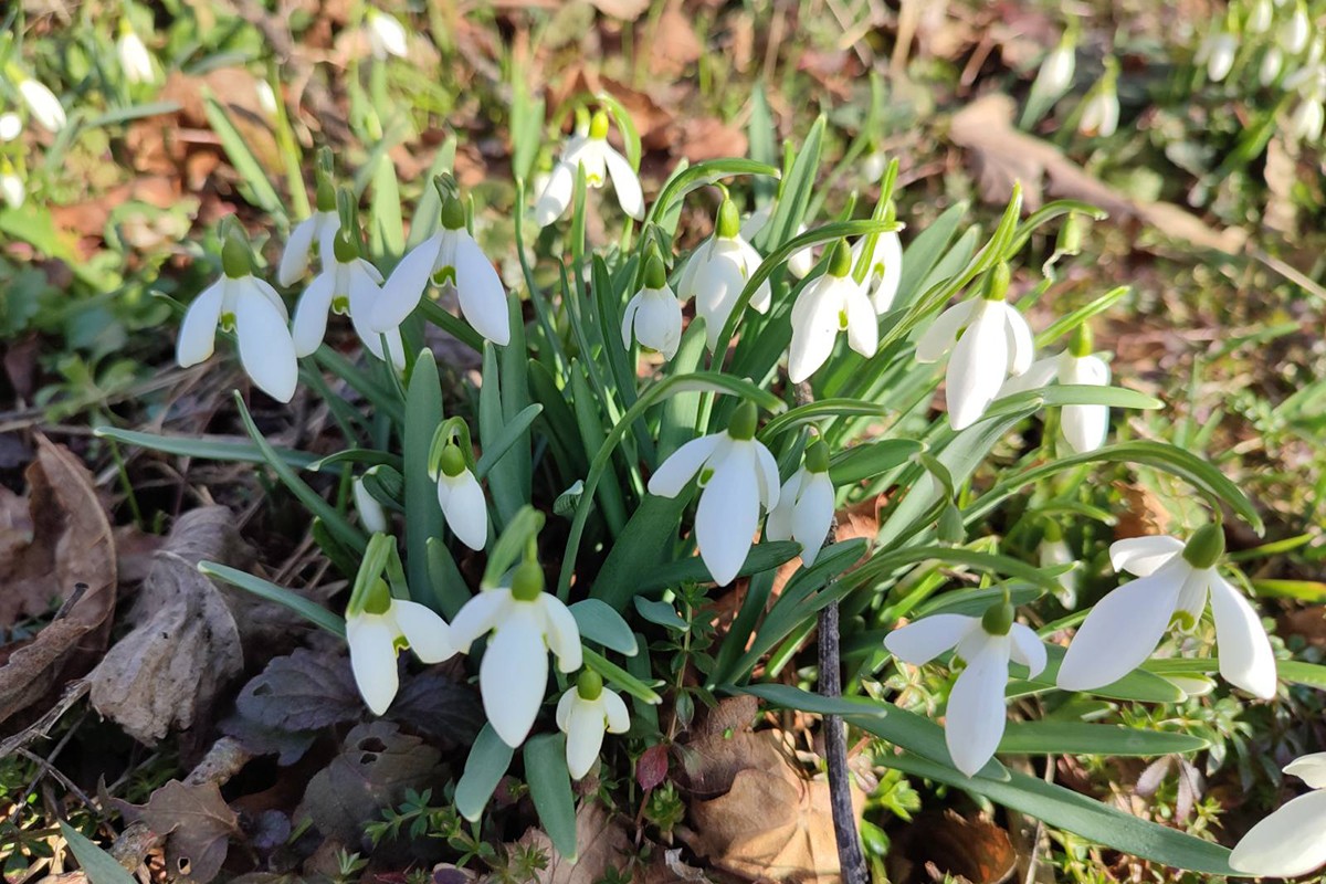 Za ova tri znaka februar će biti najduži mjesec u životu