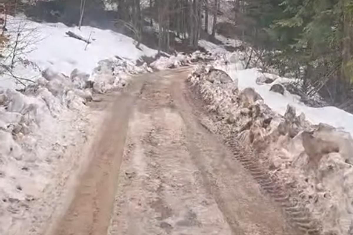Narodni poslanik objavio u kakvom je stanju alternativni put Foča-Trnovo (VIDEO)