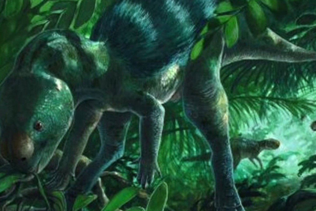 Naučnici otkrili dinosaurusa od pola metra (FOTO, VIDEO)