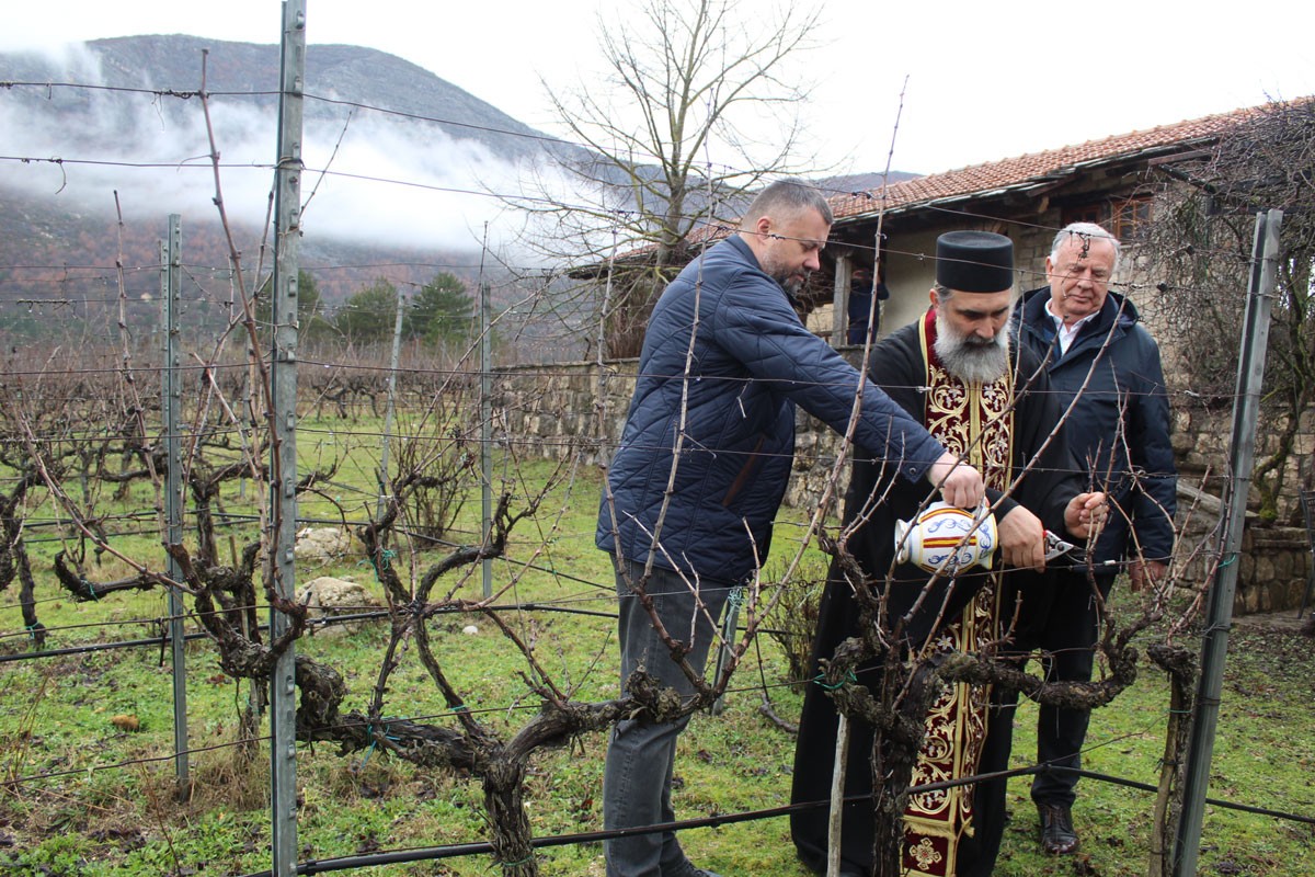 Podrumi "Vukoje" obilježili Svetog Trifuna