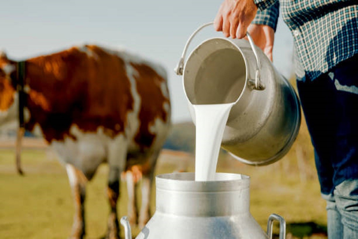 "Meggle" najavio smanjenje otkupa mlijeka: Ovo je omča oko vrata farmerima