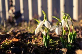 Sunčano i toplo vrijeme, maksimalna temperatura do 20 stepeni