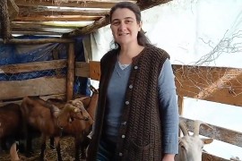 Domaći sir i borba sa vukovima: Kako Đorđevići gaje alpske koze ...