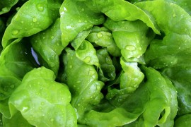 Rast cijene povrća i voća u Crnoj Gori: Zelena salata skuplja za 180 ...