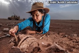 Otkriven dinosaurus star 95 miliona godina (FOTO, VIDEO)