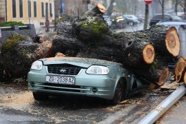 Apokalipsa u Zagrebu: Stabla drobila auta, izdato upozorenje (FOTO)