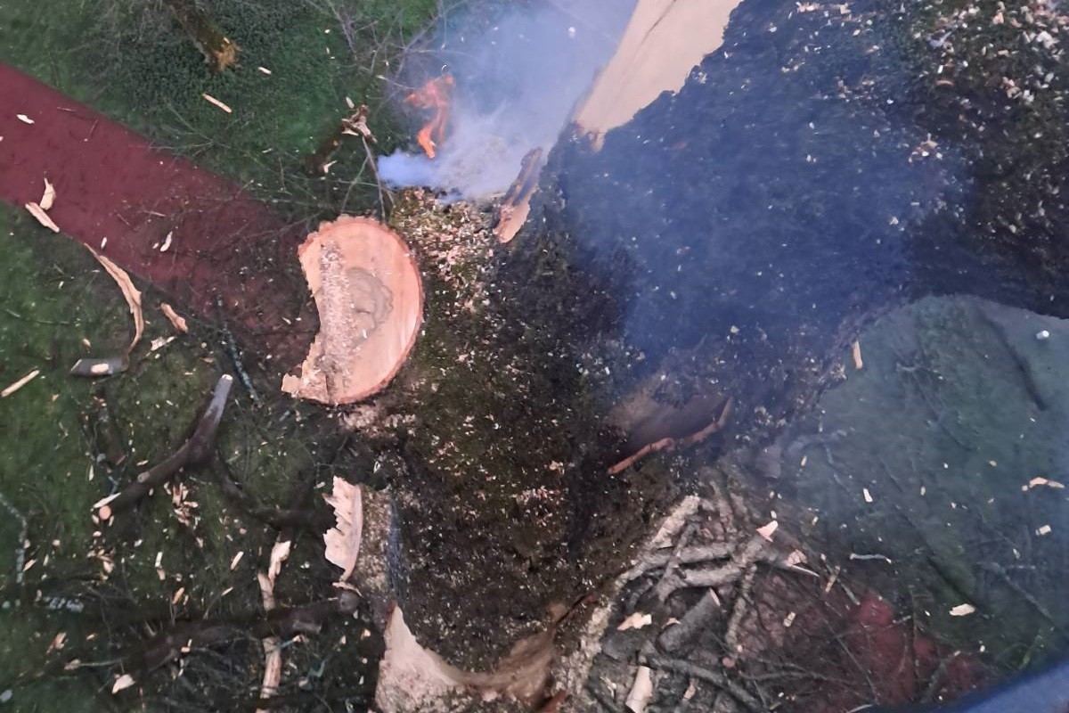 Drama u centru Banjaluke: Grom udario u drvo (FOTO/VIDEO)