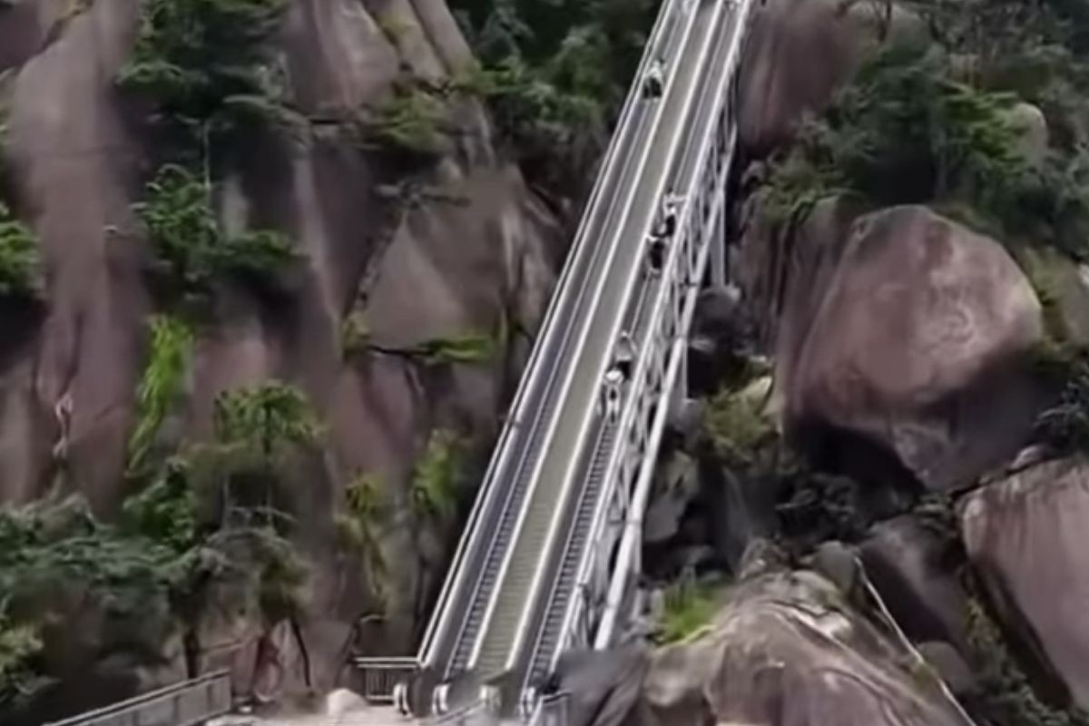 Ovo su najduže pokretne stepenice na svijetu (VIDEO)