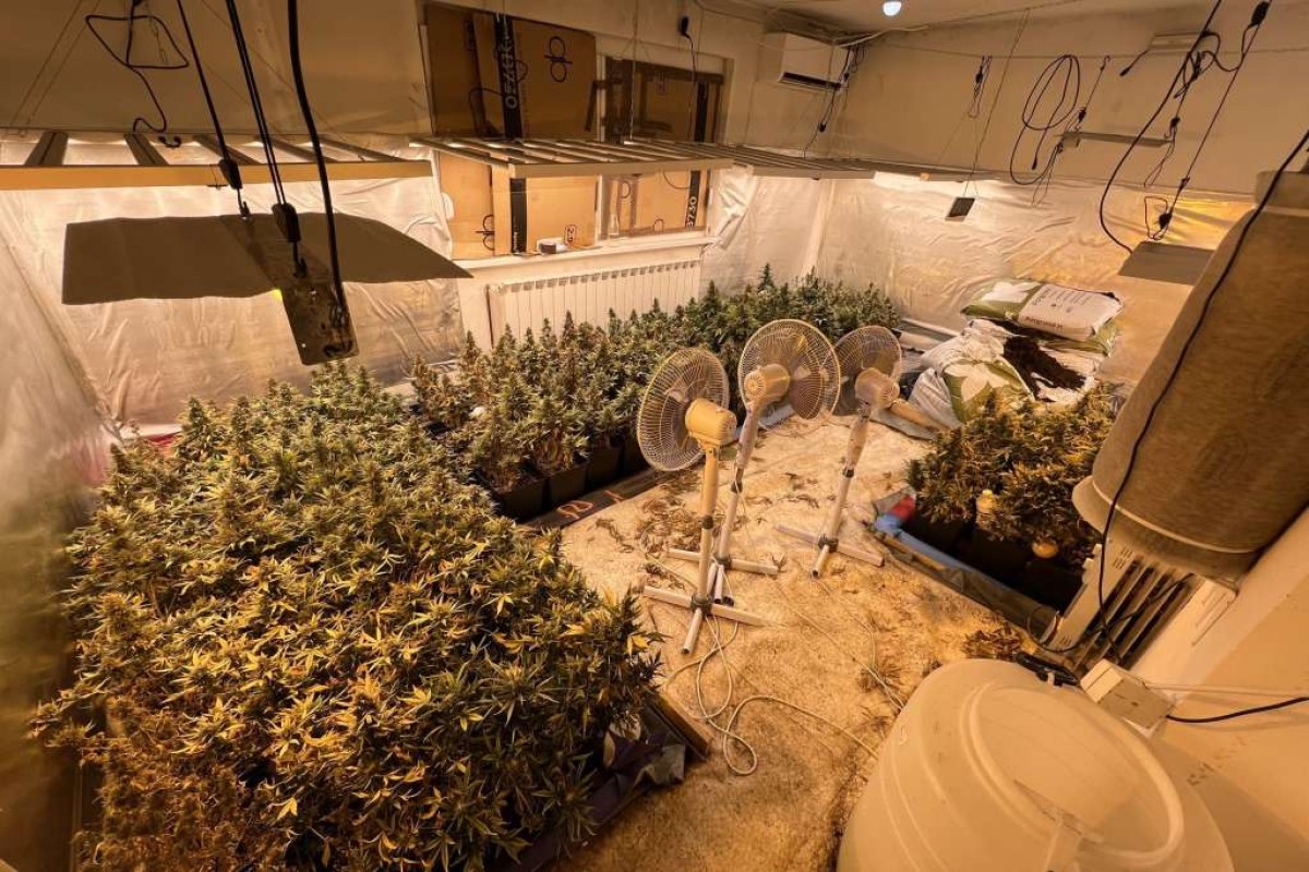 Pronađene dvije laboratorije za uzgoj marihuane, uhapšena žena