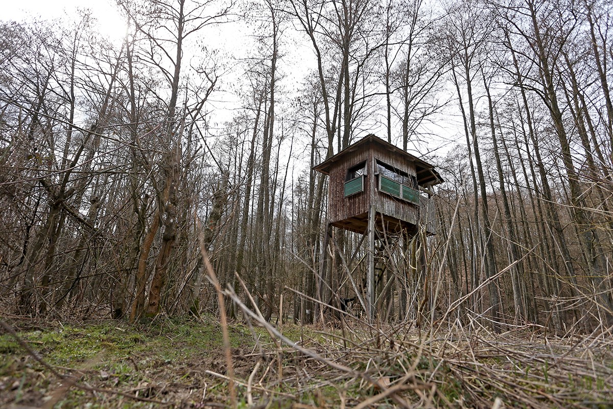 Opasni parazit se širi lovištima u Hrvatskoj: Ubija srne, prijeti ljubimcima