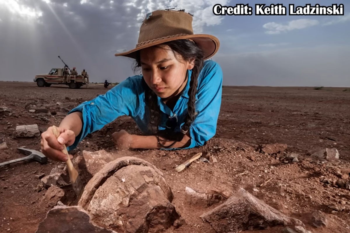 Otkriven dinosaurus star 95 miliona godina (FOTO, VIDEO)
