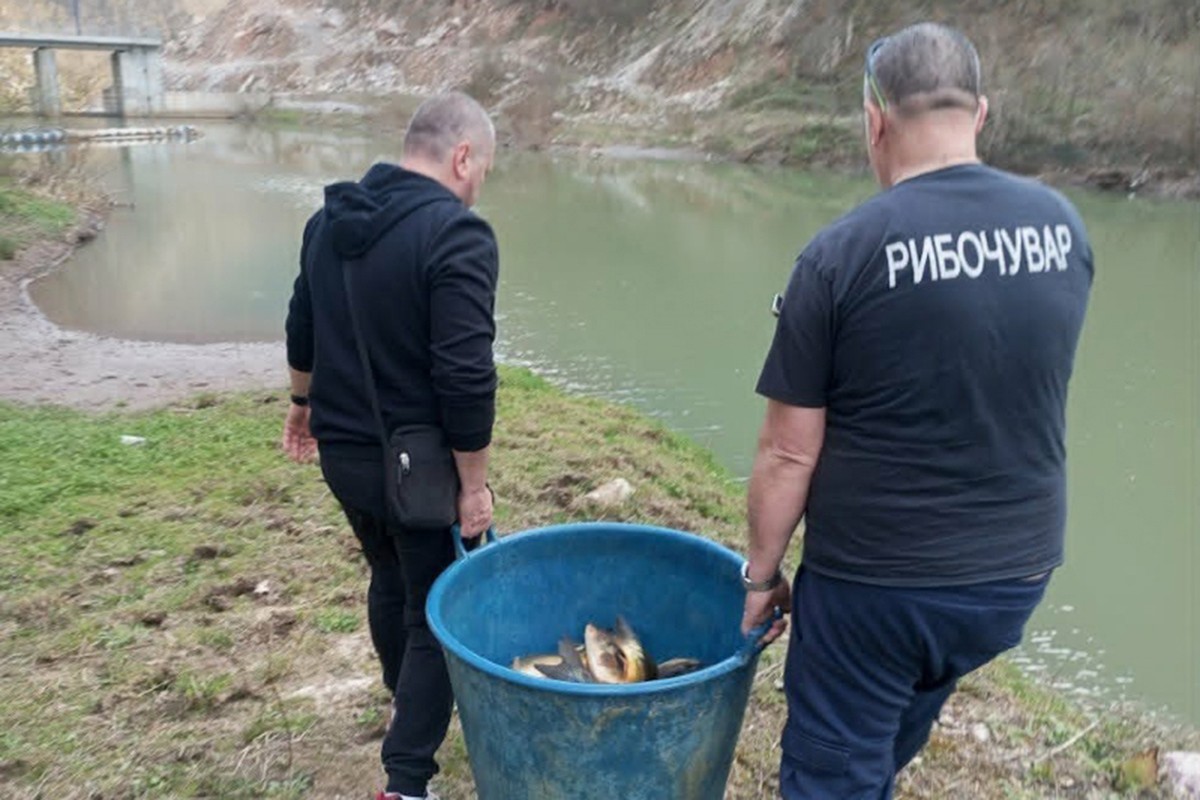 U Zvorničko jezero i Drinjaču ubačeno pola tone štuke i šarana
