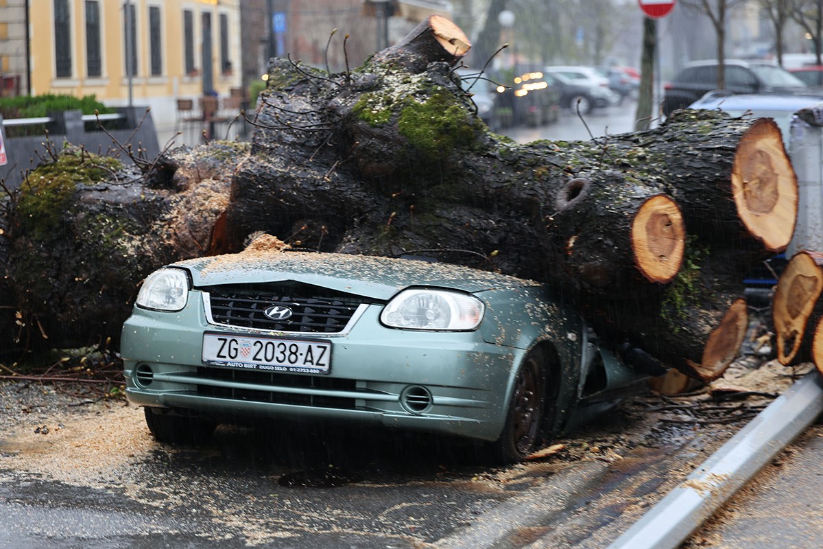Apokalipsa u Zagrebu: Stabla drobila auta, izdato upozorenje (FOTO)