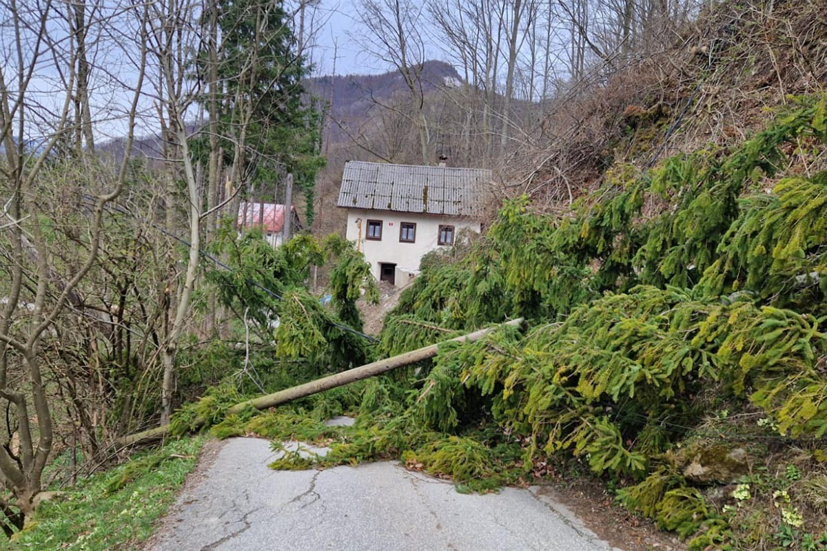Oluja nosila sve pred sobom: Slovenija bez struje, haos na putevima (FOTO)