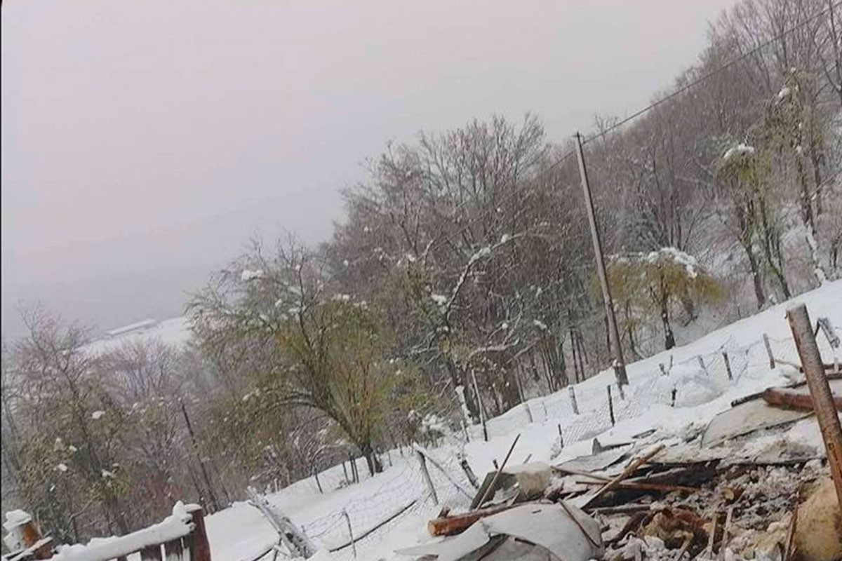 Porodici iz Krupe potrebna pomoć: Snijeg urušio krov, nastradala stoka (FOTO)