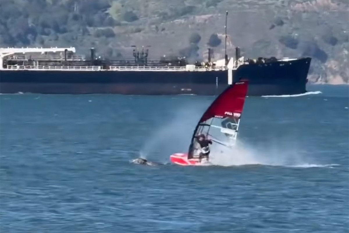 Sudario se sa kitom dok je surfovao (VIDEO)