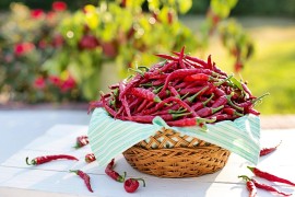 Šta se zaista događa u vašem tijelu kada jedete pikantnu hranu