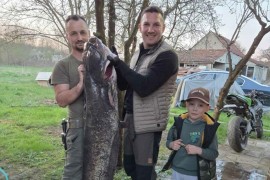 Iz Ukrine izvukli soma od 42 kilograma