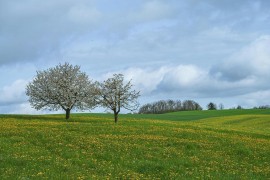 Meteorolozi najavili topliji dan, temperatura do 21 stepen