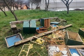 Medvjed napravio haos u BiH: Uništen pčelinjak i košnice (FOTO ...