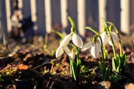 U nedjelju temperature do 23 stepena Celzijusa