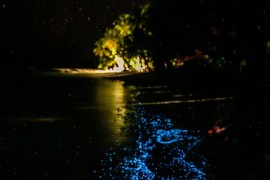 Ostrvo na Maldivima na kojem more sija