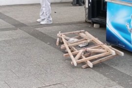 Detalji pada merdevina u Novom Sadu: Žena puštena iz bolnice ...