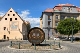 Grad hmelja, piva i pivara: Tradicija proizvodnje svete biljke