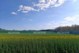 Topao dan, ali ne zadugo, evo kada dolazi kiša
