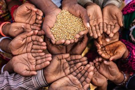 Upozorenje FAO: Rat vodi ka globalnoj krizi hrane