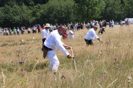 Mirko Kecman vjerni čuvar šume 13 godina