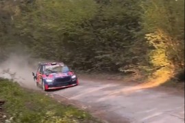 Stravičan sudar: Ferstapen senior se zakucao u drvo (VIDEO)