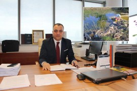 Uginule svinje kod Bijeljine upalile alarm: Lukić upozorava na ...