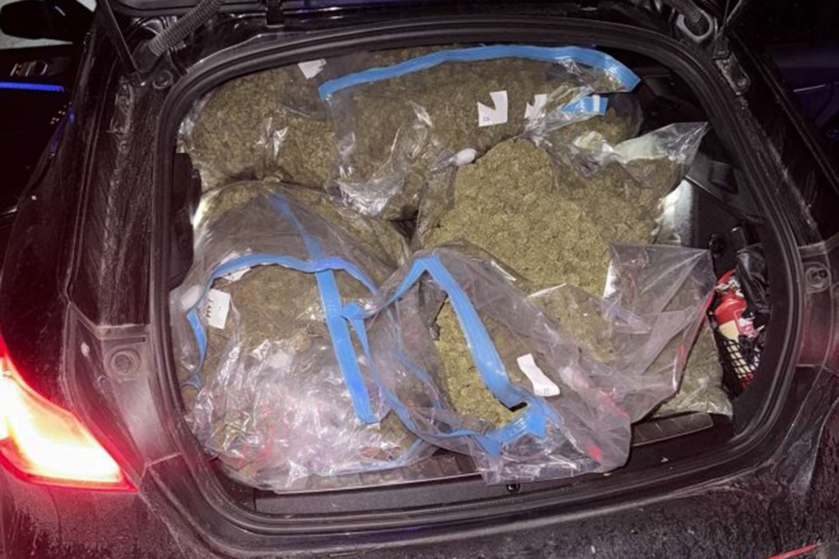 Hapšenja u akciji "Brazil" u Gradišci: Oduzeto 50 kilograma skanka