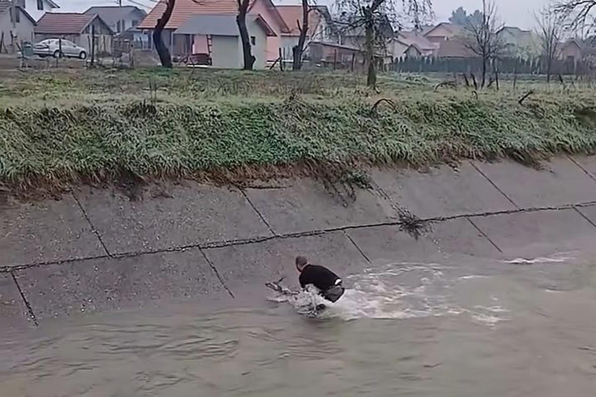 Jovan Ilić iz Bratunca skočio u rijeku kako bi spasio srnu (VIDEO)