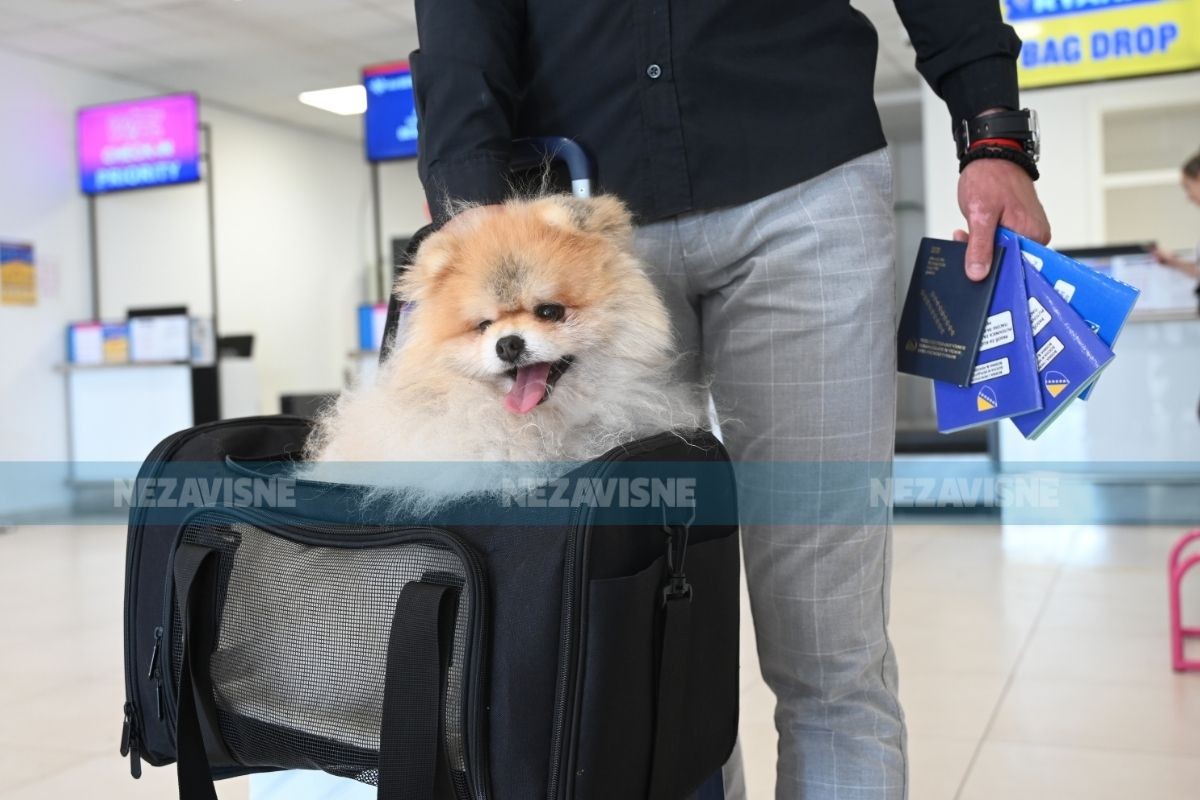 Dobra vijest sa Aerodroma Banjaluka: Na jedan let možete povesti i ljubimca