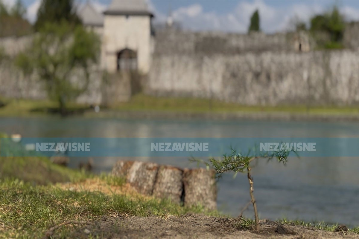 Stanivuković nakon sječe stabala pored Vrbasa: Ne poričemo ništa