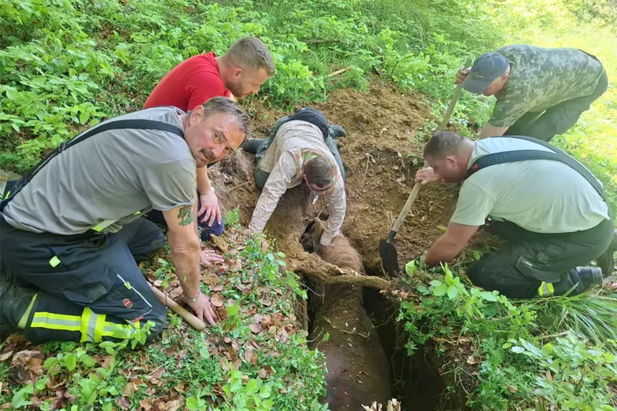 Drama u Hrvatskoj: Kobila i vlasnik upali u jamu (FOTO)
