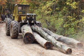 Gubitak u "Šumama RS" manji za 6,6 miliona KM