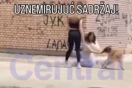 Uznemirujući snimak iz školskog dvorišta u Srbiji: Pas napao ...
