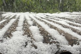 Olujno nevrijeme poharalo Sloveniju, fronta ide ka jugu (VIDEO)