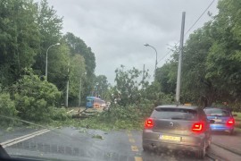 Nevrijeme stiglo u Zagreb: Padala stabla, stali tramvaji (VIDEO, FOTO)