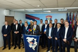 GO SDS-a: Nastaviti razgovore sa opozicionim strankama oko jedinstvenog ...