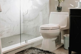 Sve više ljudi prska sirće oko WC šolje: Evo zašto