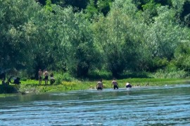 Dječak nestao u Drini tokom kupanja, u toku potraga