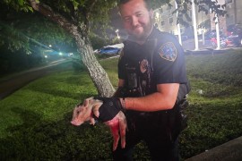 Policija ganjala razuzdano svinjče (FOTO)