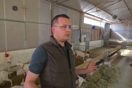 Četiri brata ostala na svom ognjištu i izgradila uspješnu farmu ...